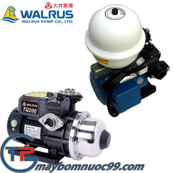 Giá máy bơm tăng áp lực nước Walrus (Hải Cẩu)