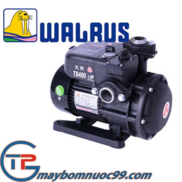 Giá máy bơm nước đẩy cao gia đình Walrus (Hải Cẩu)