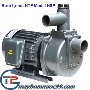 Máy bơm tự hút đầu gang NTP hsp