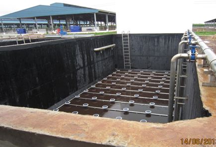 Hệ thống xử lý nước thải chăn nuôi sau biogas