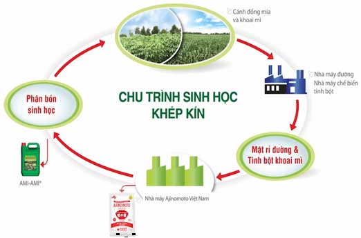 Chương trình không phát thải 3T Ajinomoto