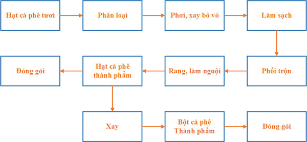 Quy trình sản xuất cà phê