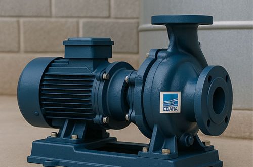 Máy bơm nước Ebara trục ngang