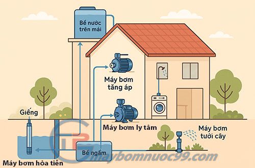 Sơ đồ minh họa lắp đặt máy bơm nước gia đình